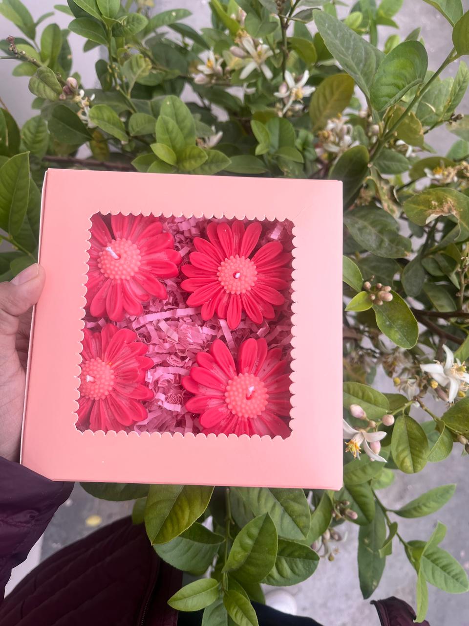 Floating Daisy Candles Pack of 4 Red