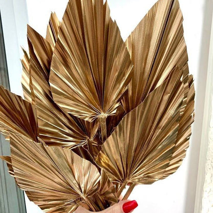 palm spear cut golden-set of 10