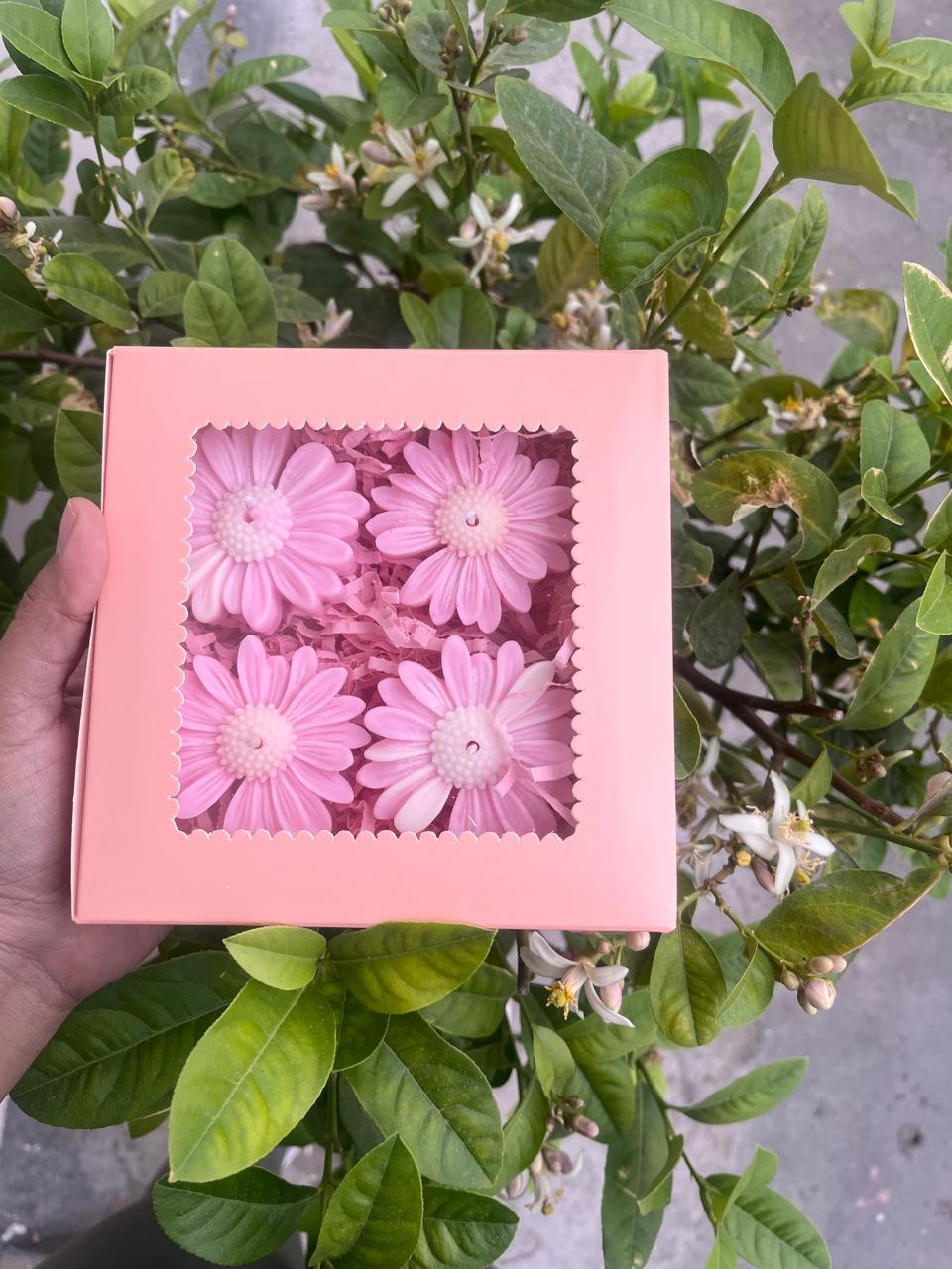 Floating Daisy Candles Pack of 4 Pink& White