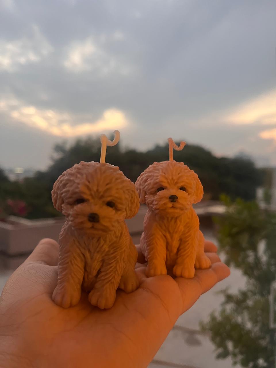 Cavapoo Puppy Candle