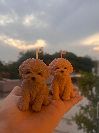Cavapoo Puppy Candle