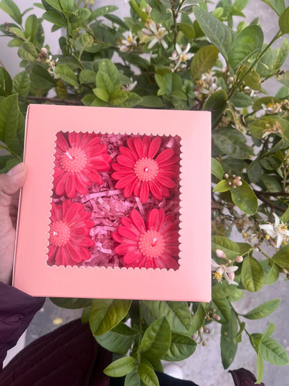 Floating Daisy Candles Pack of 4 Red