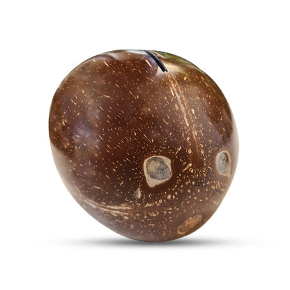 Thenga Coconut Kudukka or Piggy Bank ( Openable at the Bottom )