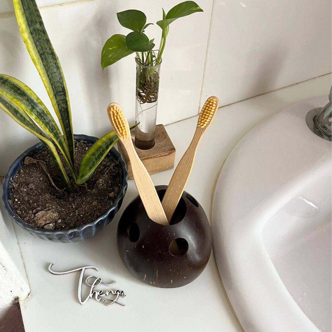 Thenga Eco-Friendly Coconut Shell Toothbrush Holder