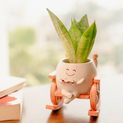 Seat of Stories planter