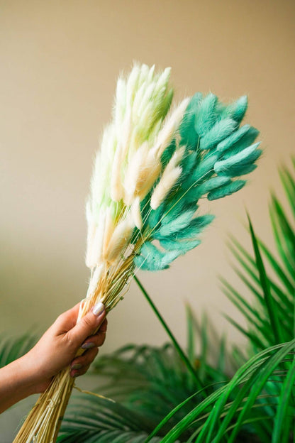 Mint Green Bunny tails-set of 50 stems