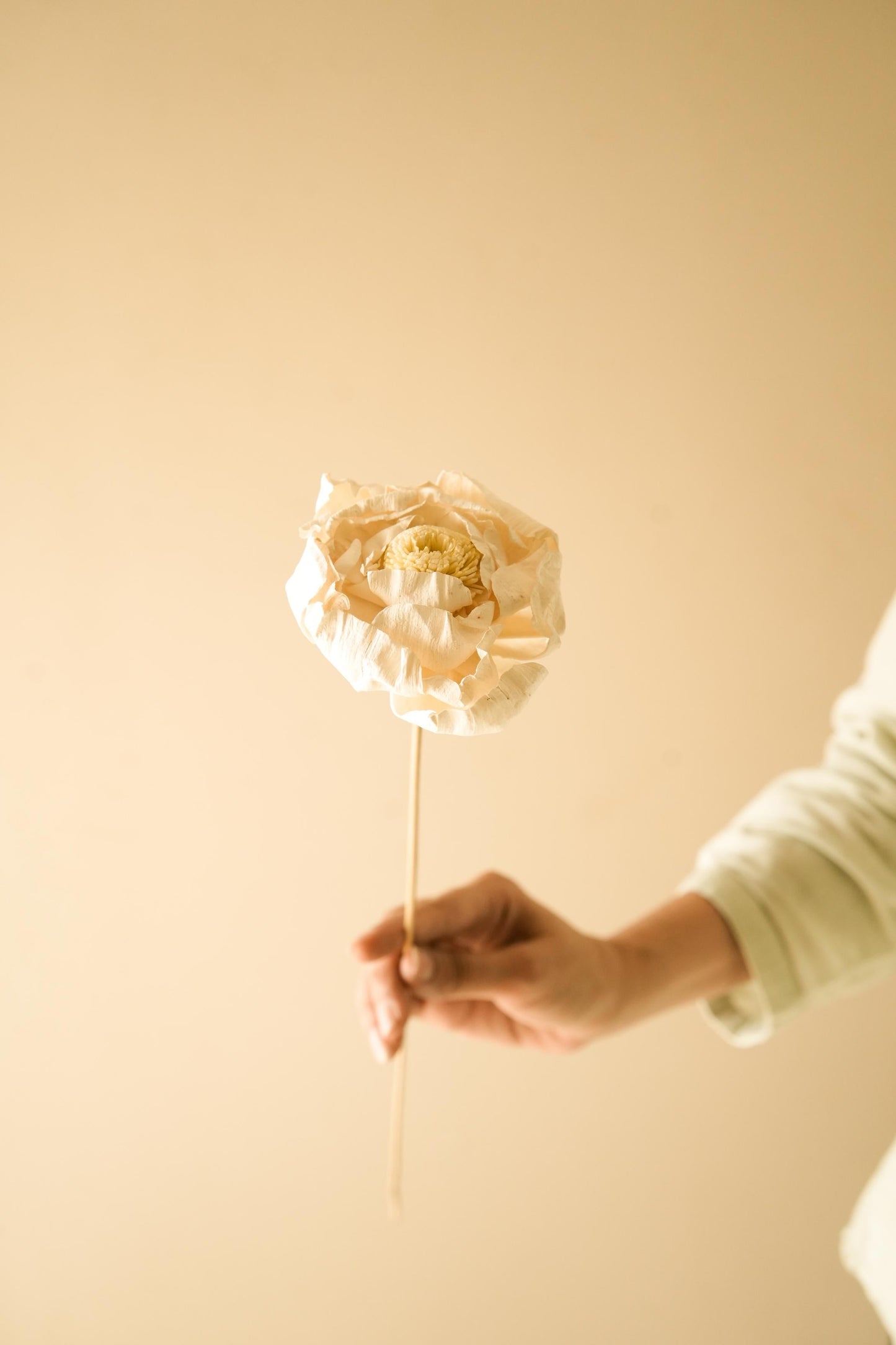 Cabbage Flower