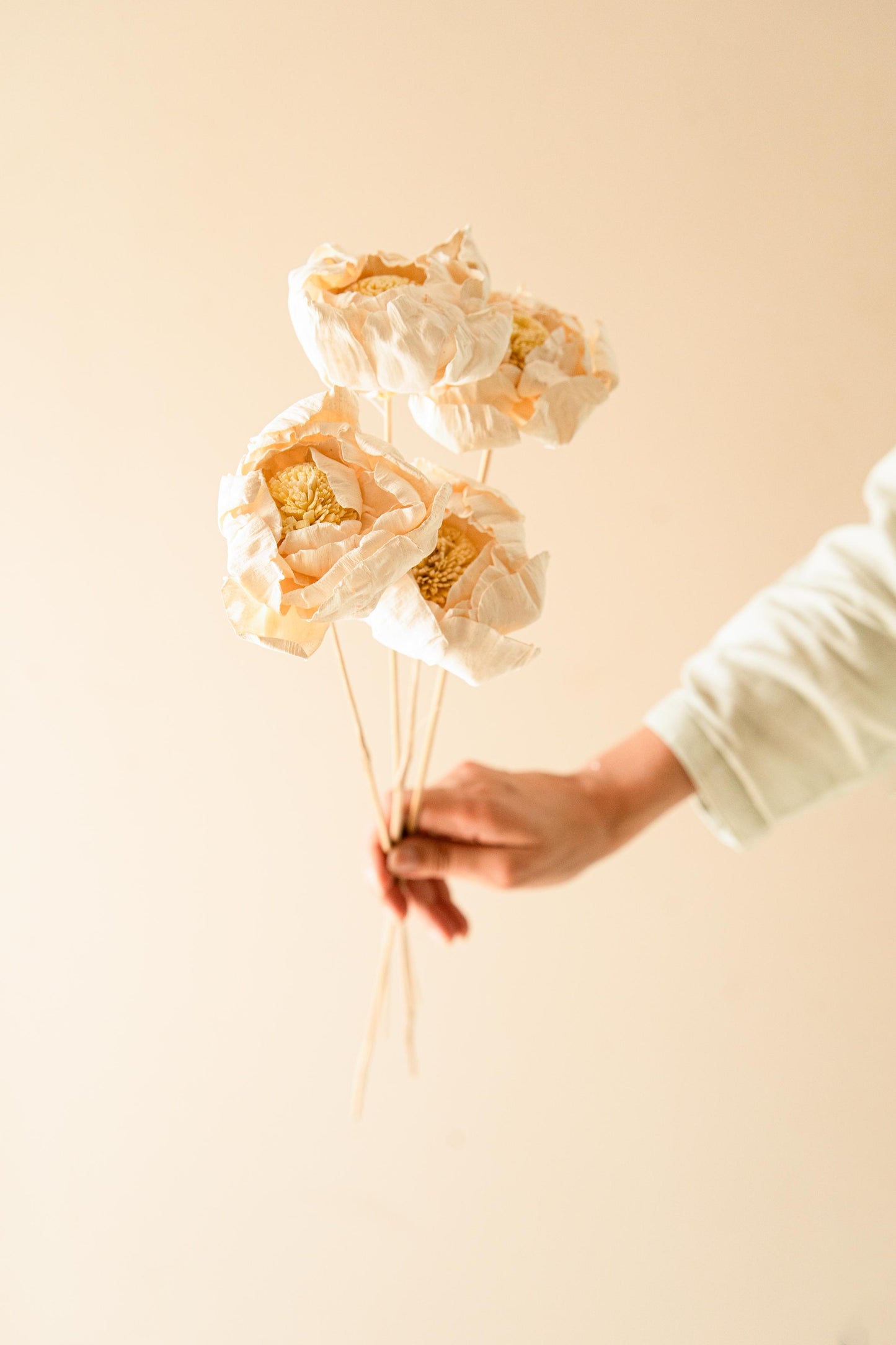 Cabbage Flower