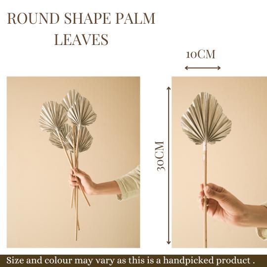 Round shape palm leaves