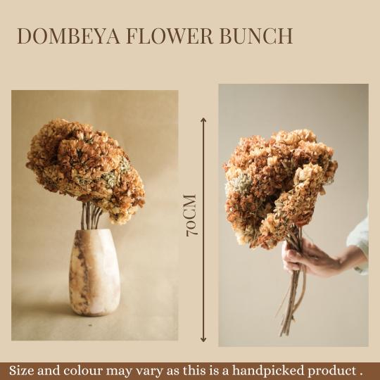 Dombeya flower bunch