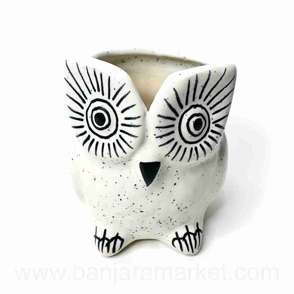 Banjara Market | White Owl Pot