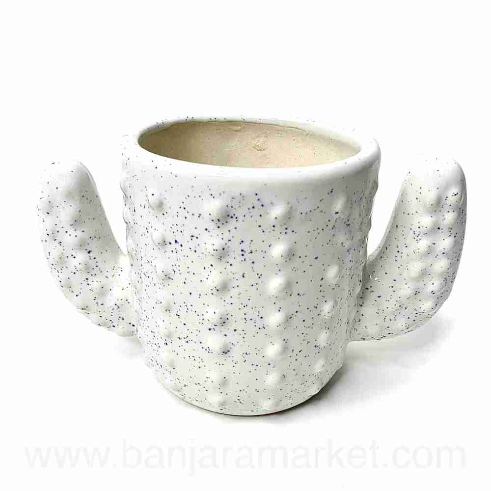 Banjara Market | White Cactus Pot