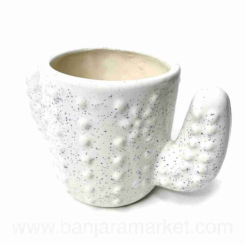 Banjara Market | White Cactus Pot