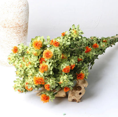 Dried safflower