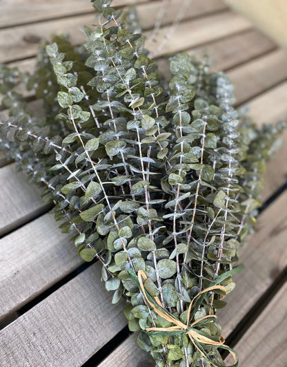 Light Green Eucalyptus