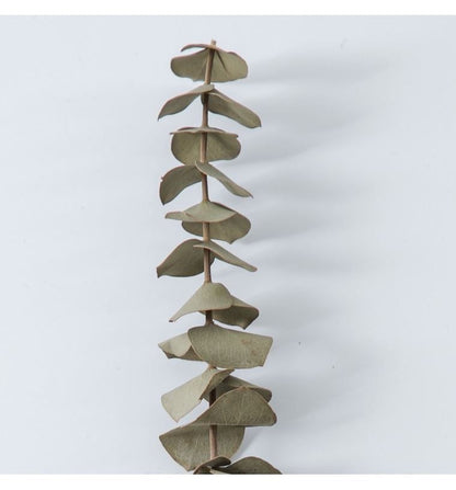 Light Green Eucalyptus