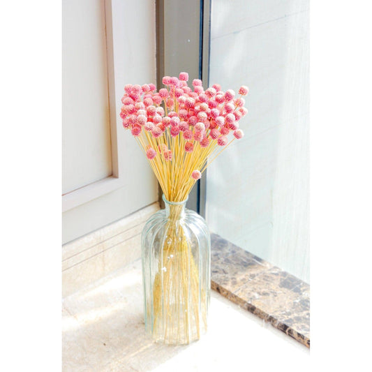 Gomphera with Crystal Glass vase-Light Pink