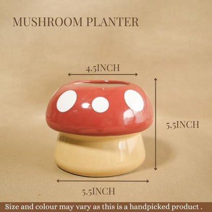 Mushroom Planter