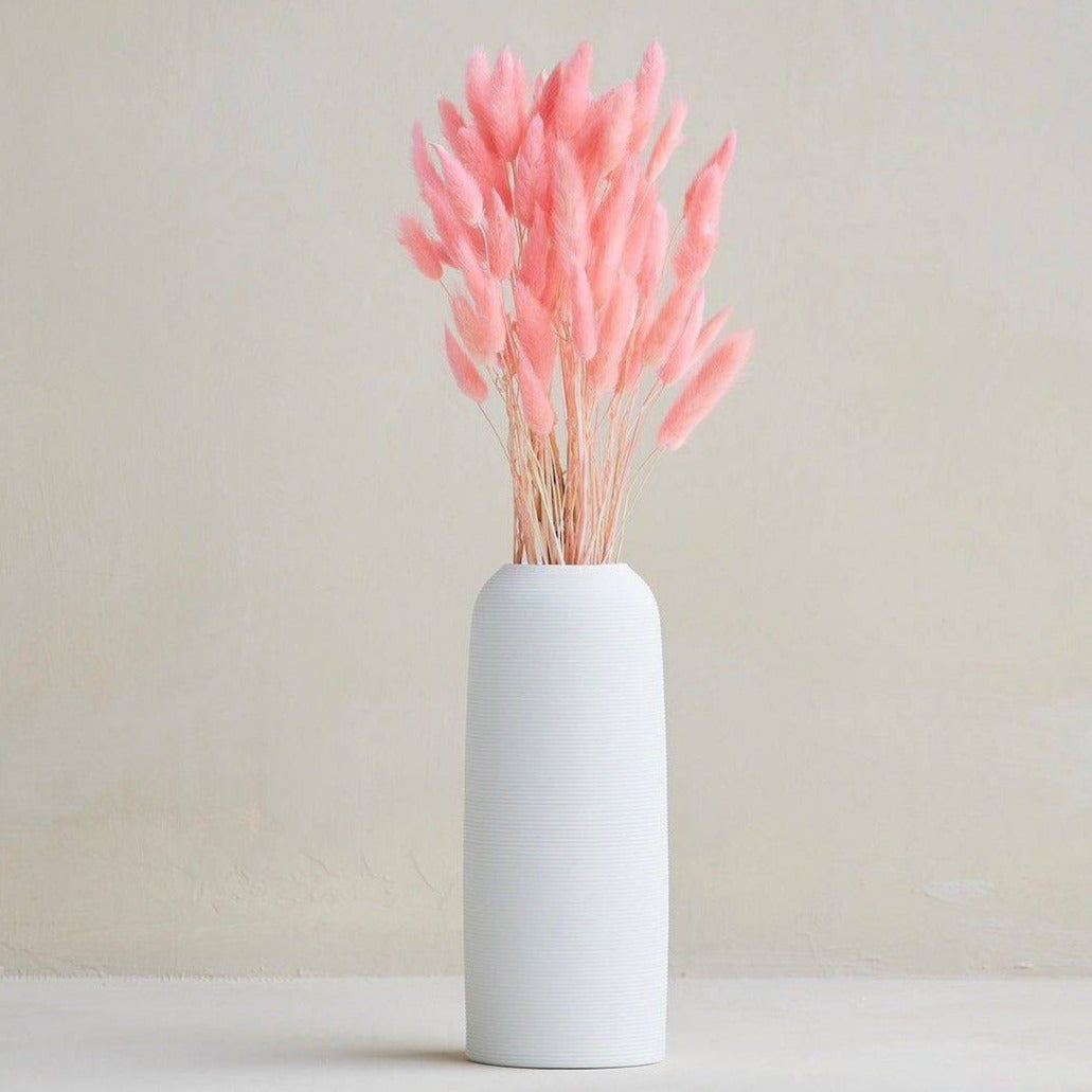 Pink Bunny tails-set of 50 stems