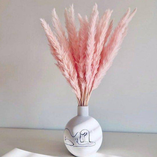 Mini Pink pampas-set of 10 sticks