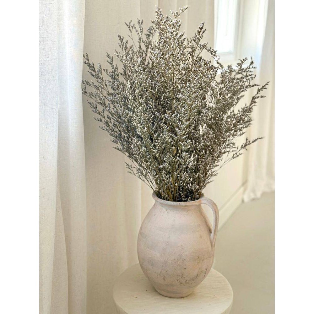 Limonium-natural