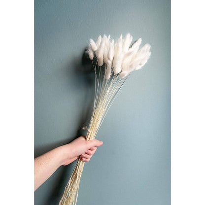 White Bunny tails-set of 40 stems