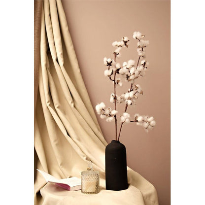 Cotton bloom stems