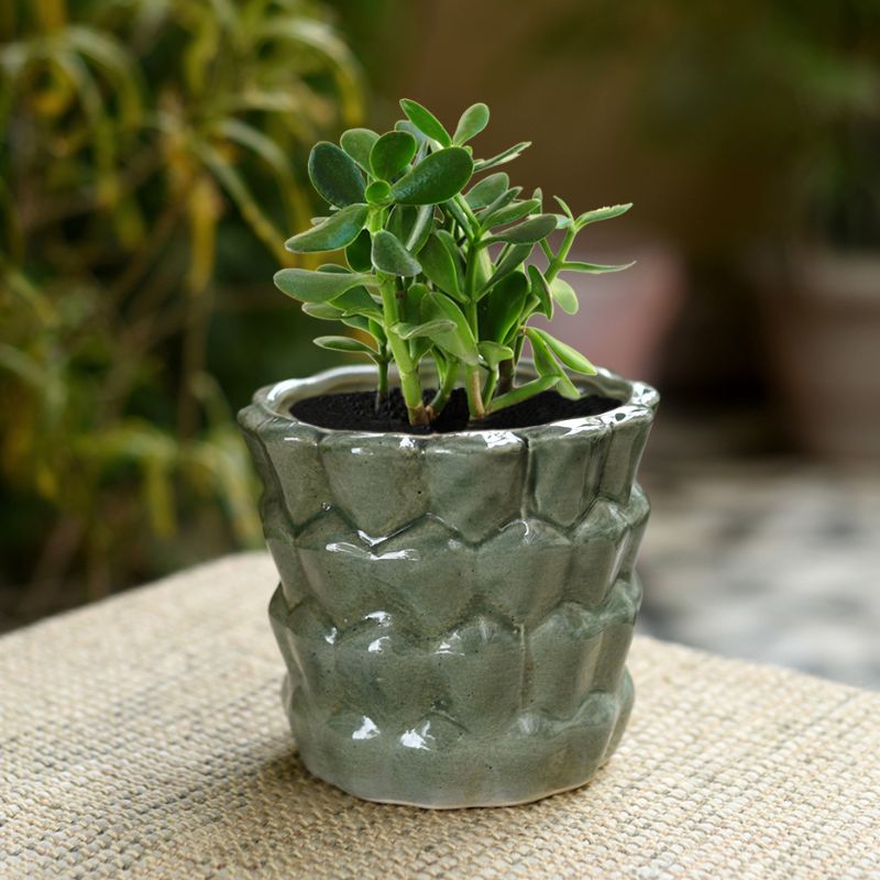 ceramic glazed studio grey bucket table top planter