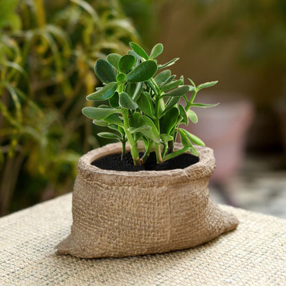 ceramic matte finish brown carry bag table top planter