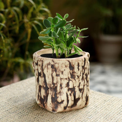 ceramic matte finish wooden texure cylindrical table top planter