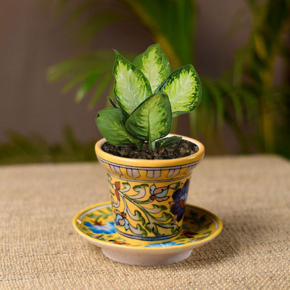 Outdoor Garden Decorative Living Room Blue Pottery Ceramic Planter with Ceramic Tray(Yellow)