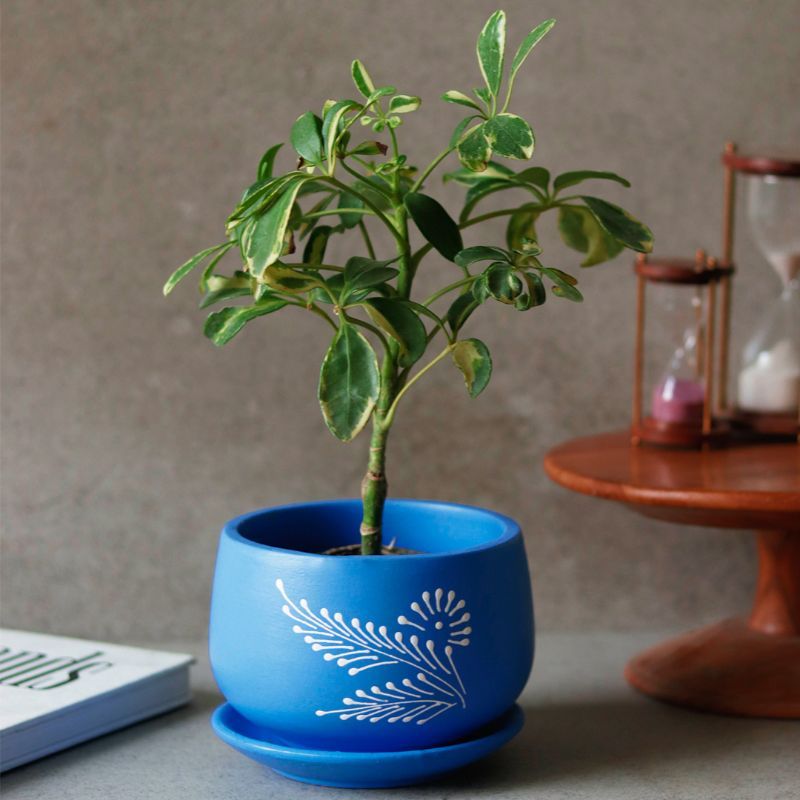 "Flower Motif" blue handmade & handpainted planter pot with tray in terracotta