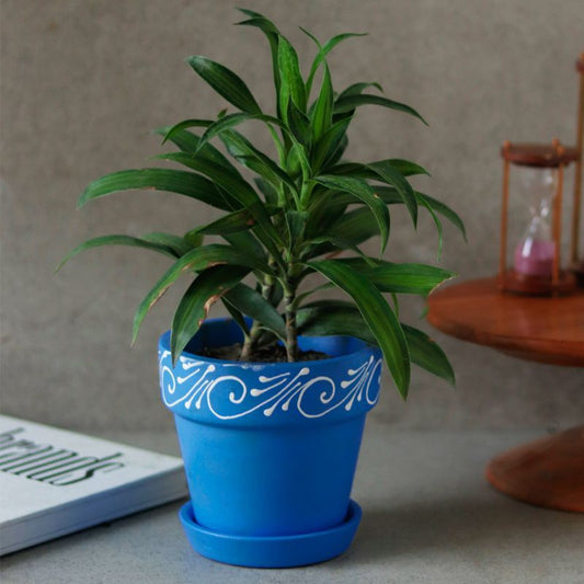 "Swirl Motif" blue handmade & handpainted planter pot with tray in terracotta