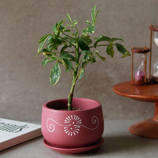 "Flower Motif" maroon handmade & handpainted planter pot with tray in terracotta