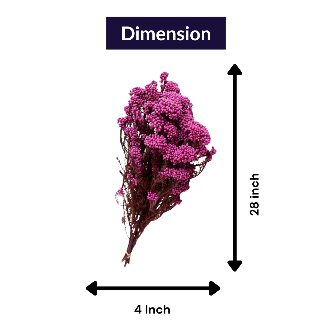 Pink Dried Rice Flower – Natural Forever Floral Décor | ArteCasa