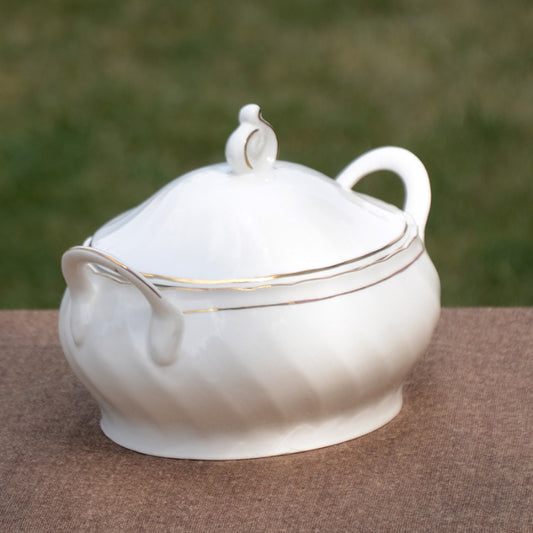 Bone China Plain White golden Dinner Set (23 Pcs)