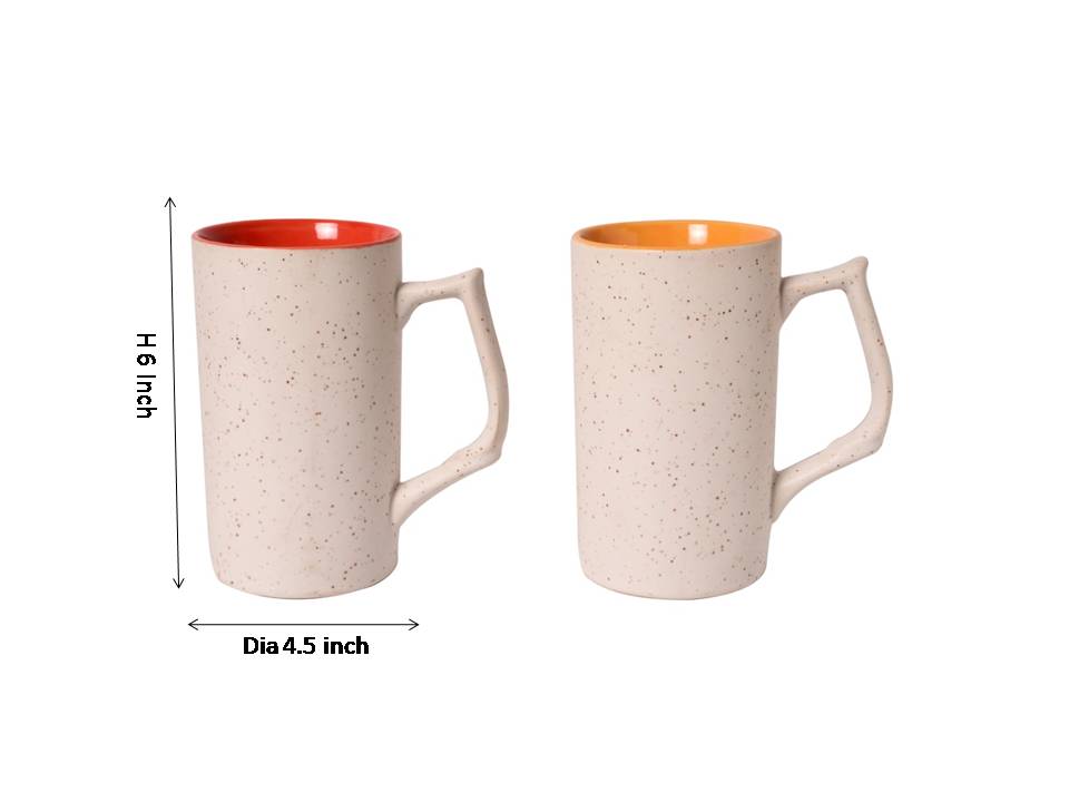 stoneware matte finish beer mug(Set of 2)