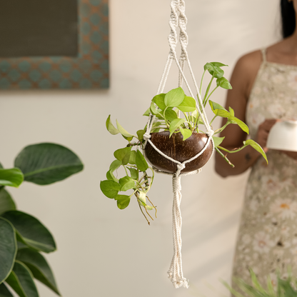 Thenga coconut shell macrame plant hanger for Indoor & balcony