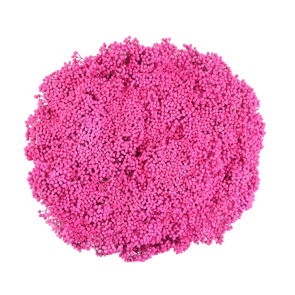 Pink Dried Rice Flower – Natural Forever Floral Décor | ArteCasa