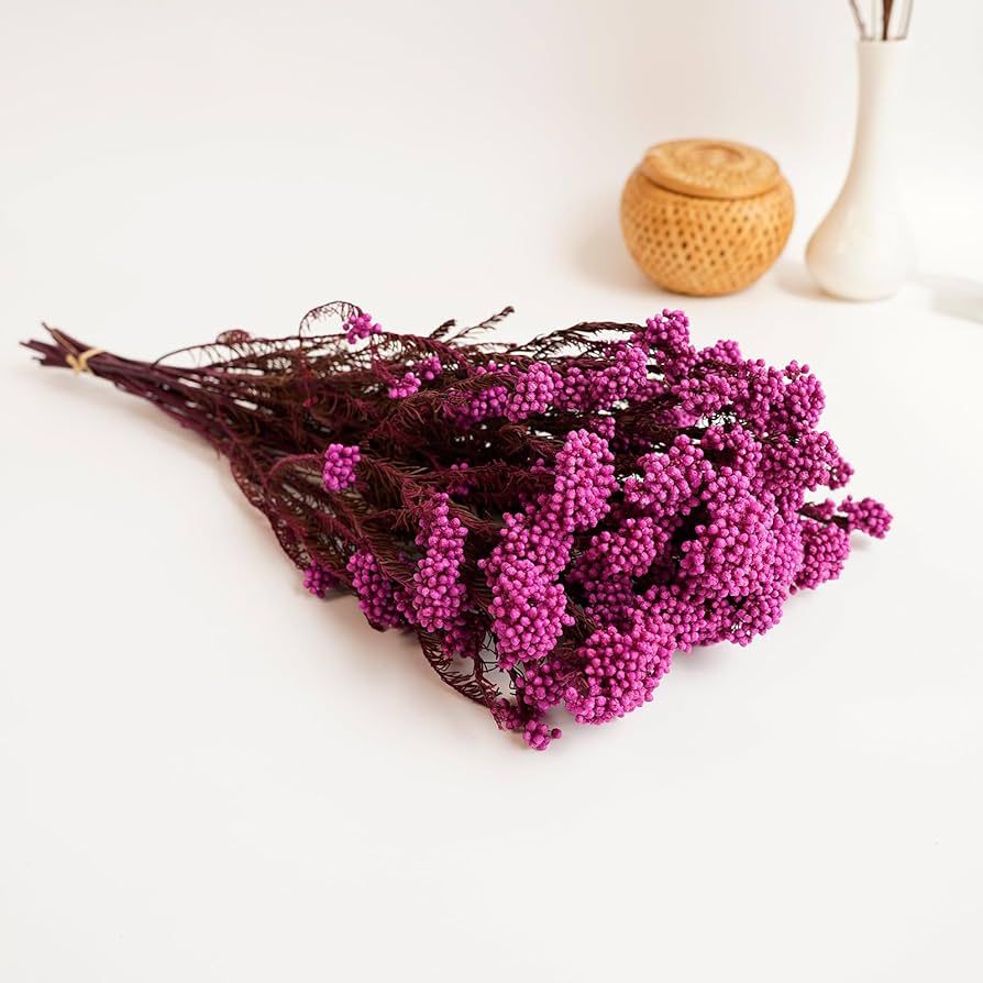 Pink Dried Rice Flower – Natural Forever Floral Décor | ArteCasa