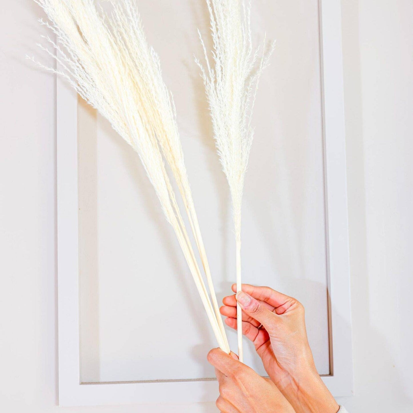 Red long vase with white reed pampas