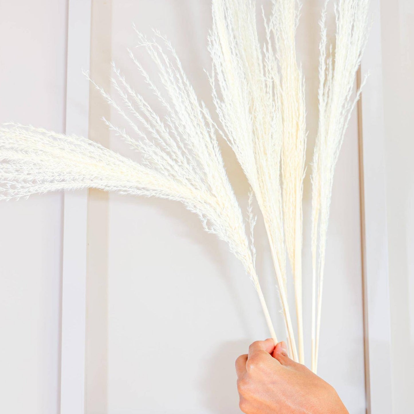 Red long vase with white reed pampas