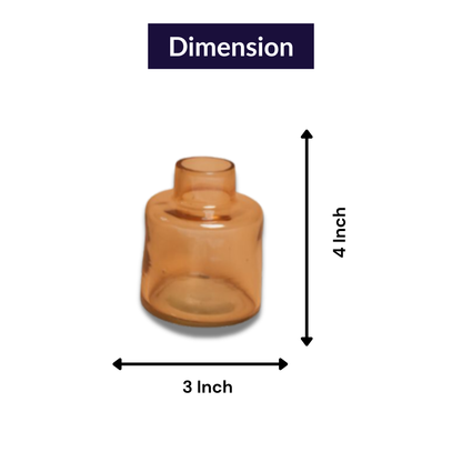 Little Blossom Vase gift box – Glass Vase with Dried Flowers